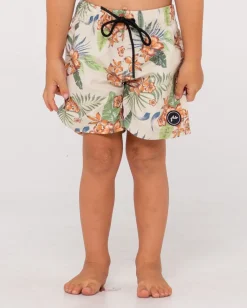 Venta De Banadores Cortos Estampados The Dream><noscript><img width=